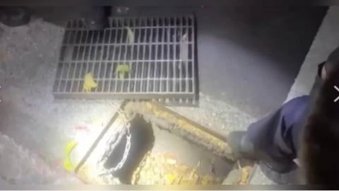 酒後結怨撂人算帳！攤商勸架反遭捅傷　警水溝蓋撈凶器逮3人