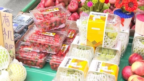 中東戰火影響　塑膠包材漲不停　經濟部：有「化原料中盤商「延緩出貨」