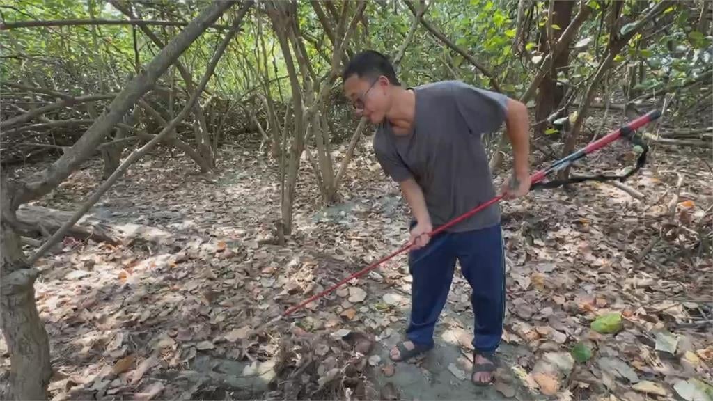 網傳台南漁光島沙灘埋現金　里長：歡迎來尋寶順便淨灘