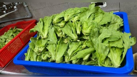 北市生鮮蔬果25%農藥超標!「火鍋神物」不合格最多 三媽、大全聯都上榜