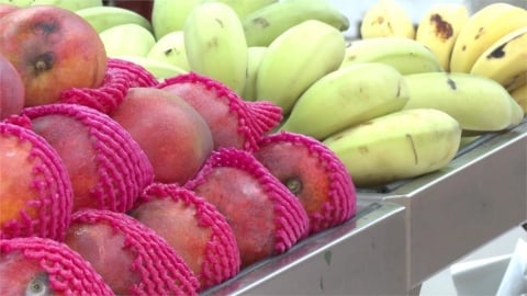 吃水果習慣削皮竟丟掉營養精華？營養師曝這3款果皮抗發炎又消水腫