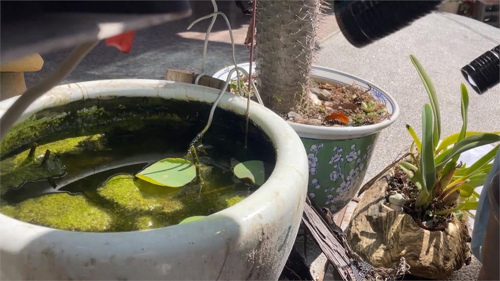 雲林北港進香潮旺季！　衛生局加強巡檢、全力防堵登革熱