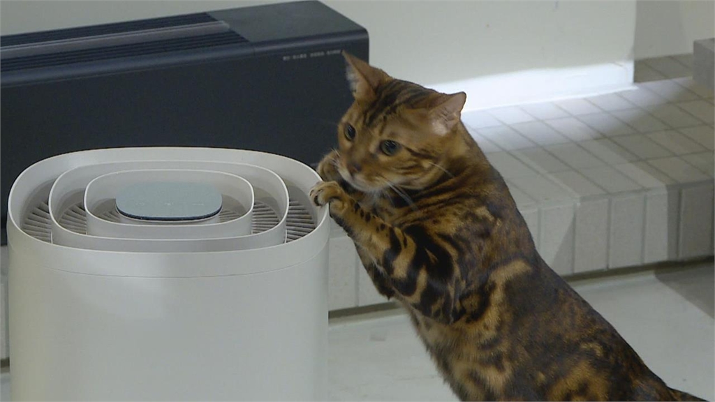 喝1瓶裝水等於吞10萬顆微塑膠！營養師揭「3隱形地雷」正默默傷肝腎