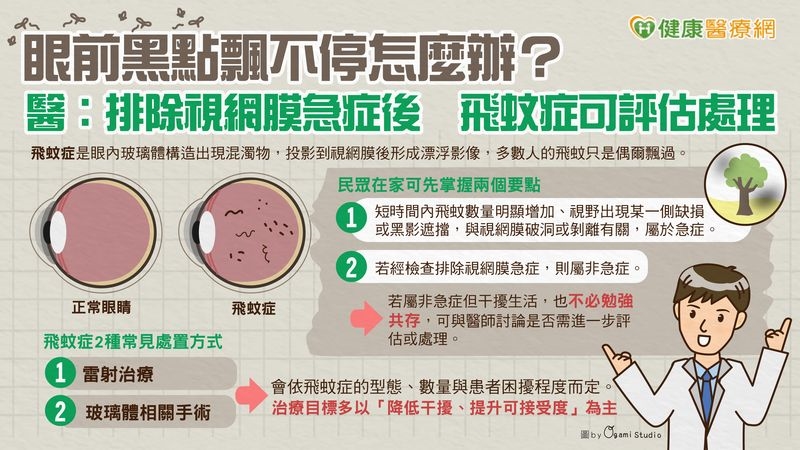 眼前黑點飄不停怎麼辦？醫：排除視網膜急症後　飛蚊症可評估處理