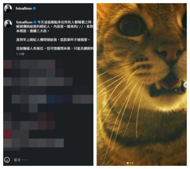 林予晞曬出家中貓咪，笑稱為「嫌疑人」，誤觸手機釀烏龍。（圖／翻攝自Instagram／fotoallison）