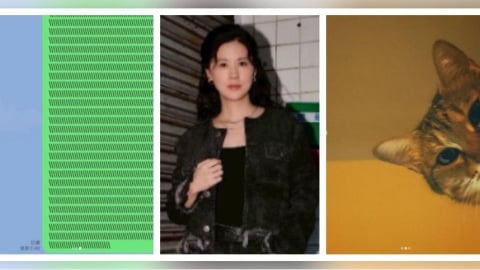 林予晞帳號半夜狂傳訊息！經紀人嚇壞　一查竟是貓咪搞鬼