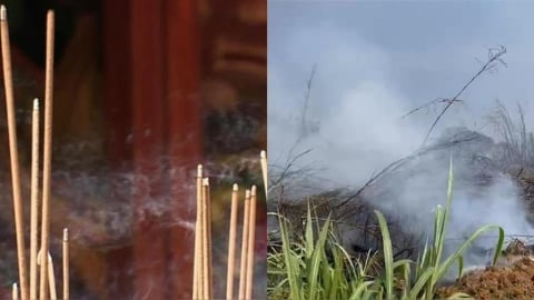 清明掃墓「3大禁忌」要注意　命理專家點名「這類人」最好不要去！