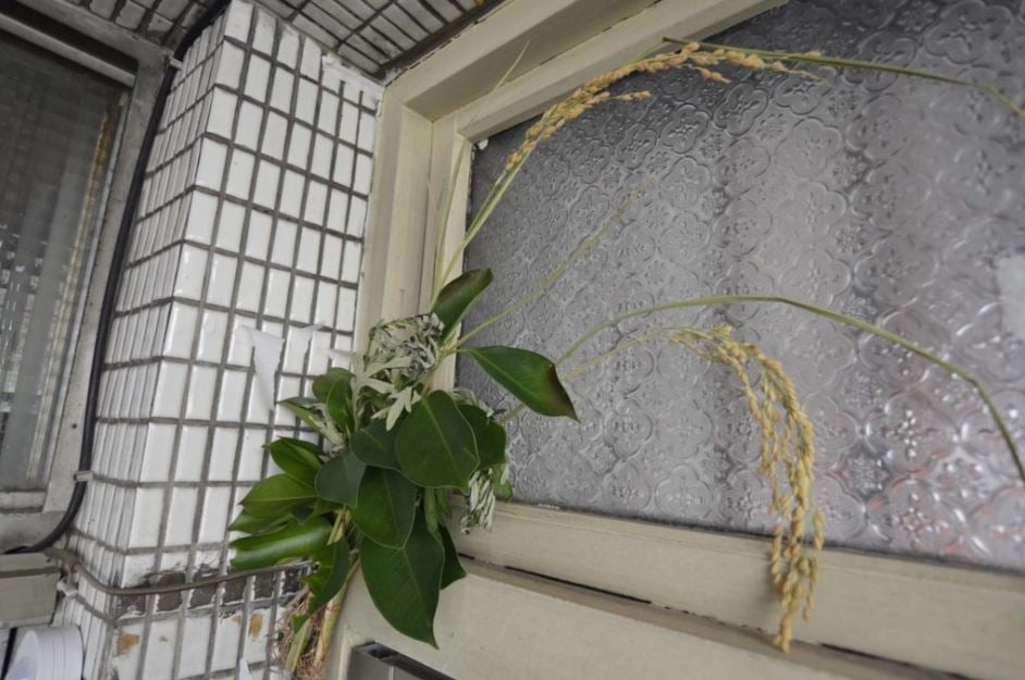 柯柏成曝4月5日清明節掃墓禁忌，這4生肖務必早去早回！