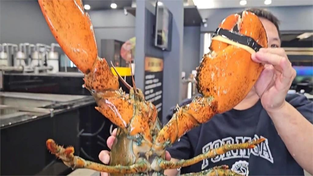 不只釣蝦還能釣帝王蟹　台南超狂釣場創新玩法掀熱潮