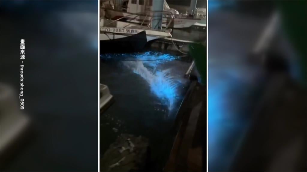 馬祖限定美景這也有! 苗栗龍鳳漁港「藍眼淚」現蹤引熱議