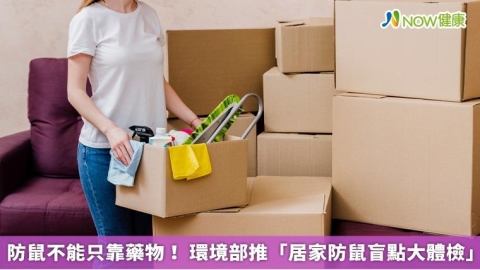 防鼠不能只靠藥物！ 環境部推「居家防鼠盲點大體檢」