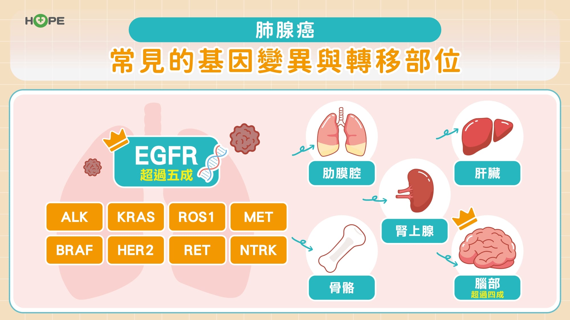 健保助攻晚期肺癌治療 第一線使用第三代標靶兼顧療效與生活品質