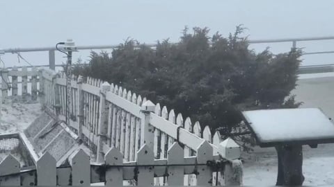 銀白世界美不勝收！玉山北峰下雪了　持續近半小時