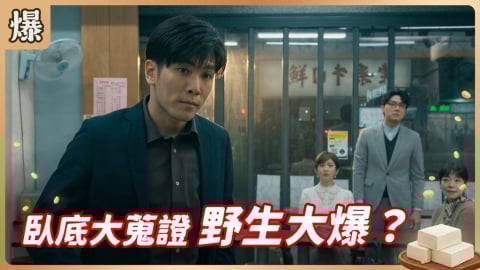《豆腐媽媽-EP71精彩片段》臥底大蒐證 野生大爆？