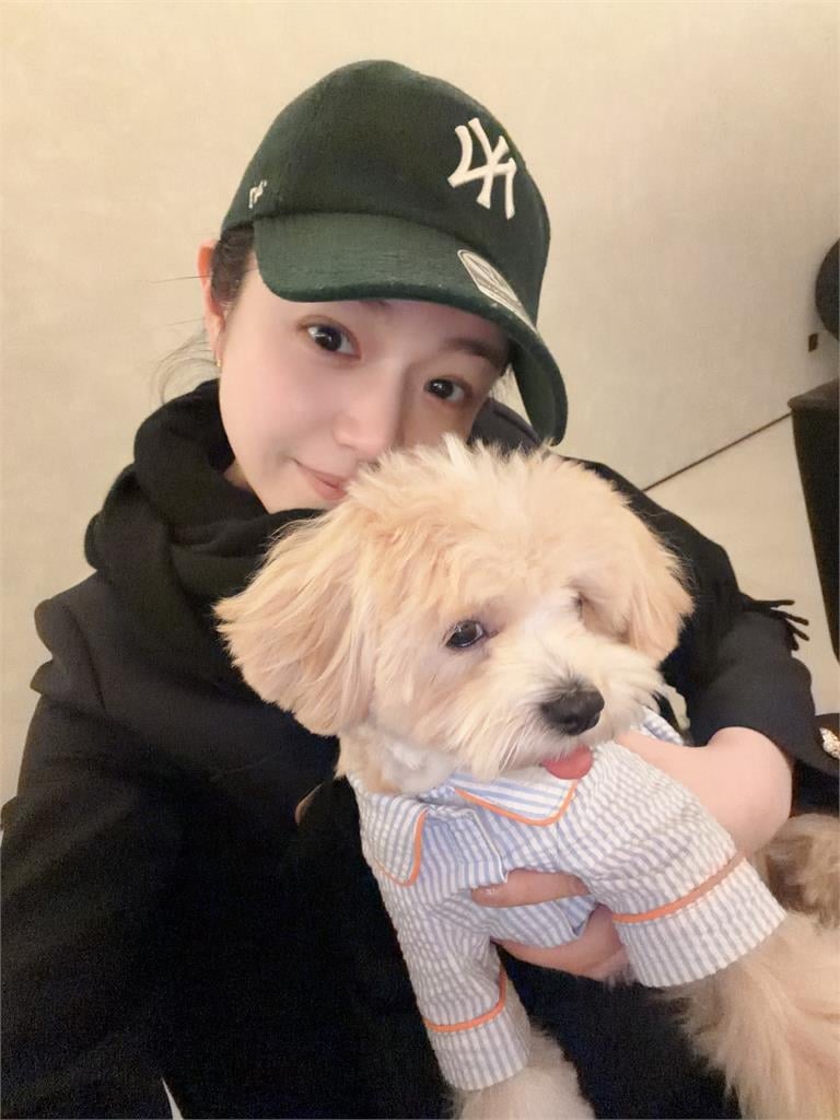  42歲陳妍希「突急送醫動手術」行程大停擺！工作室聲明揭「最新近況」中國粉急哭