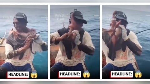 海上驚魂！漁夫遭章魚纏臉險窒息　掙脫後滿臉墨汁與吸盤痕