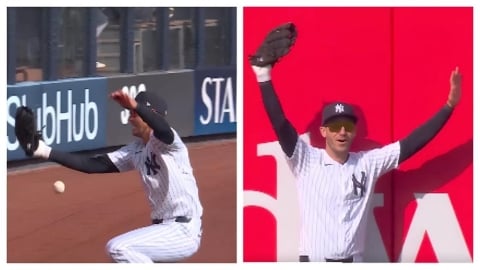 MLB(影)/洋基強打貝林傑背面超神接殺!連自己都不相信現場球迷全嗨翻