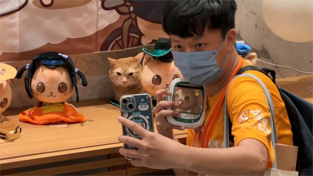 獨／蜜柑站長6歲生日辦粉絲見面會　高捷加碼做「這件事」與乘客同樂