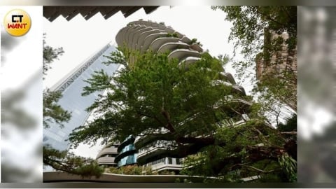 豪宅買氣慘1／「哥吉拉」甦醒半價搶市咬冠軍　億元豪宅交易卻大減4成