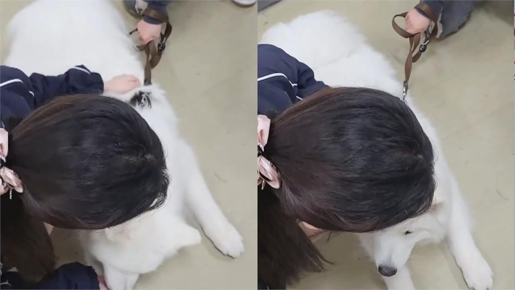 李珠珢「下班狀態判若兩人」擼狗全被拍！21歲真面目「炸出白髮」網心疼：辛苦了