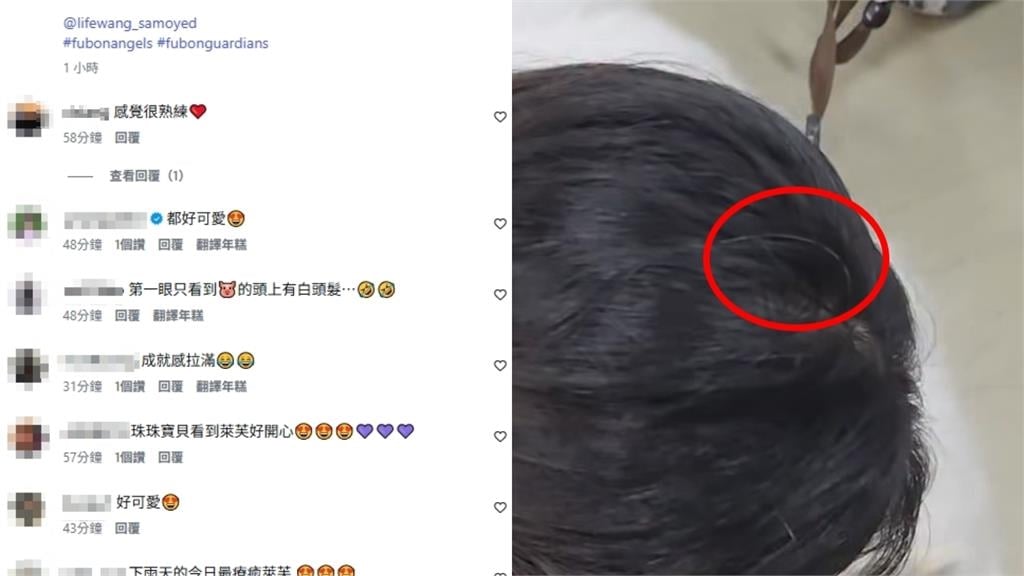 李珠珢「下班狀態判若兩人」擼狗全被拍！21歲真面目「炸出白髮」網心疼：怎麼了