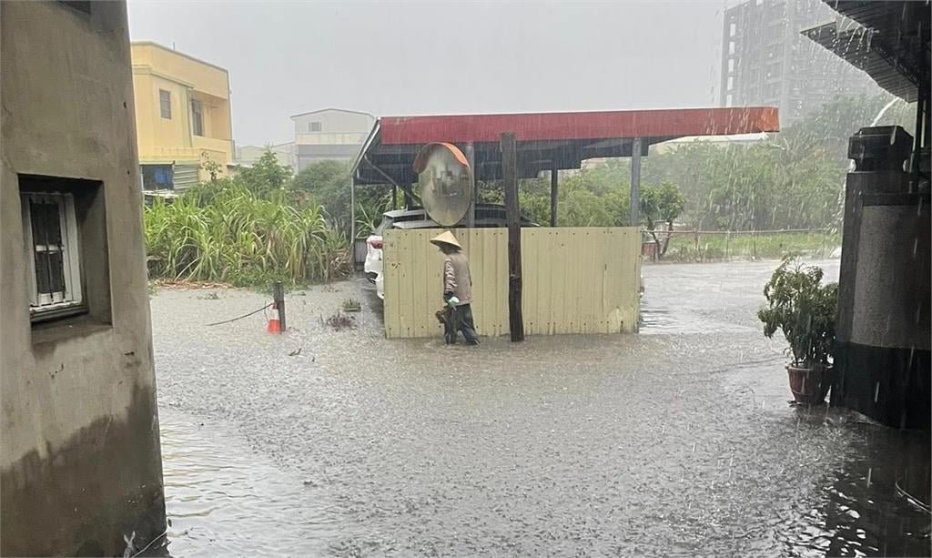快新聞/苗栗滿地是魚奇景曝光