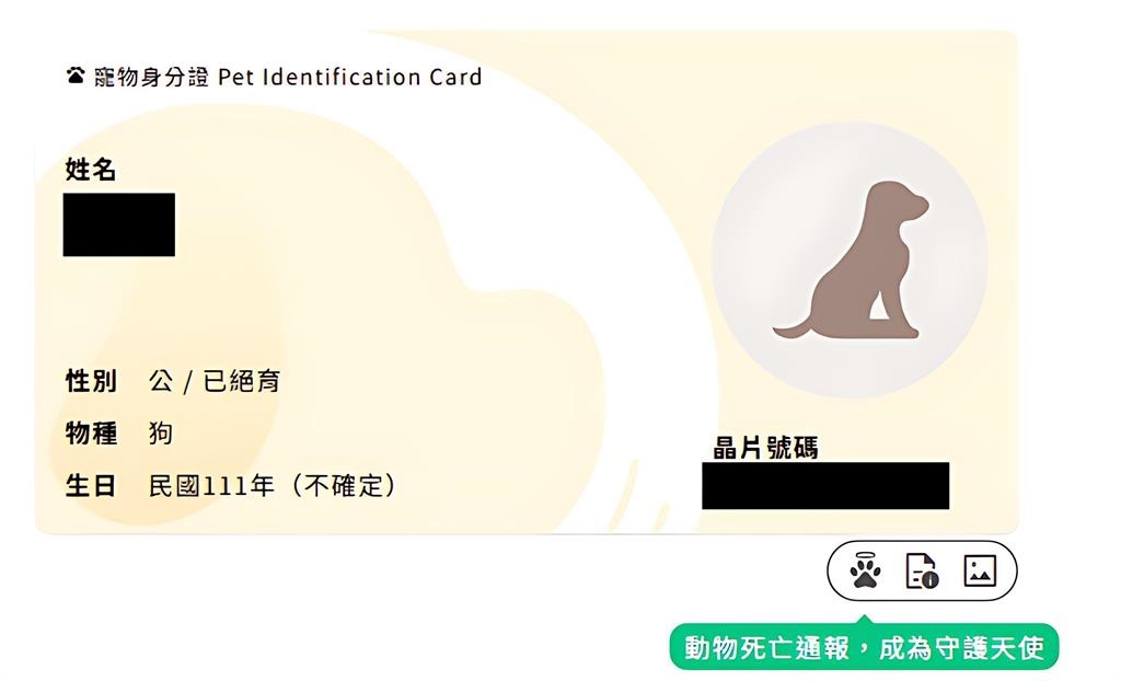 快新聞／毛孩爸媽注意！沒幫寵物「做這事」最高可罰1萬5　動保處證實了