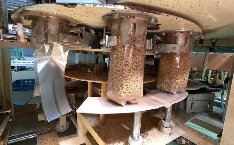 科技種杏鮑菇! 業者保留人工削菇 促在地婦女就職