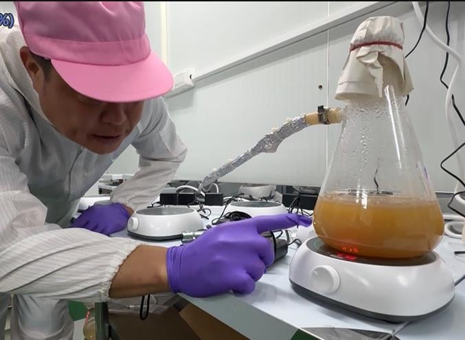 科技種杏鮑菇! 業者保留人工削菇 促在地婦女就職