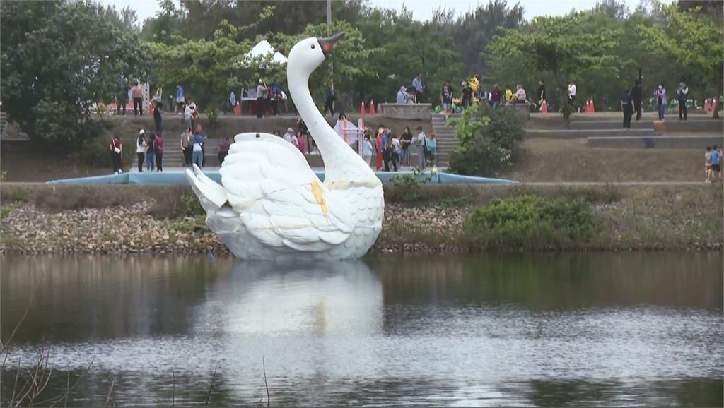 連假來雲林"天鵝湖嘉年華"! 踩天鵝船賞美景.美食享不完