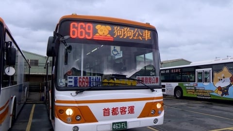 貴桑桑! 寵物「高齡化」看病需求高 醫院趁亂「宰肥羊」飼主負擔重