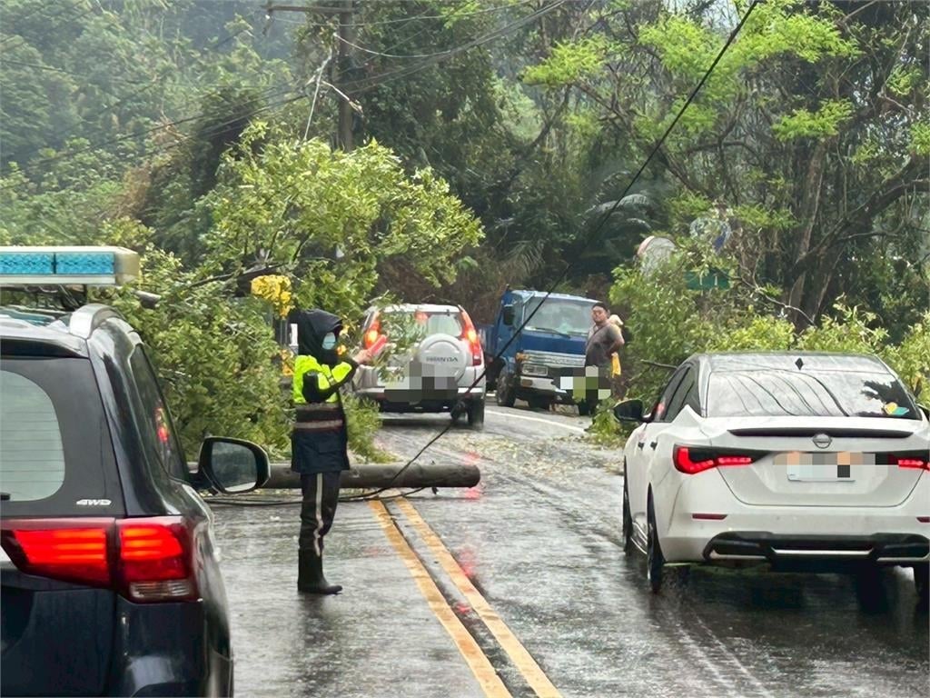 快新聞／豪雨成災！台8線東勢段路樹、電桿倒塌　交通一度受阻