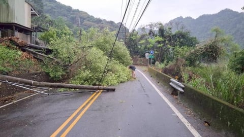 豪雨成災!台8線東勢段路樹、電桿倒塌 交通一度受阻