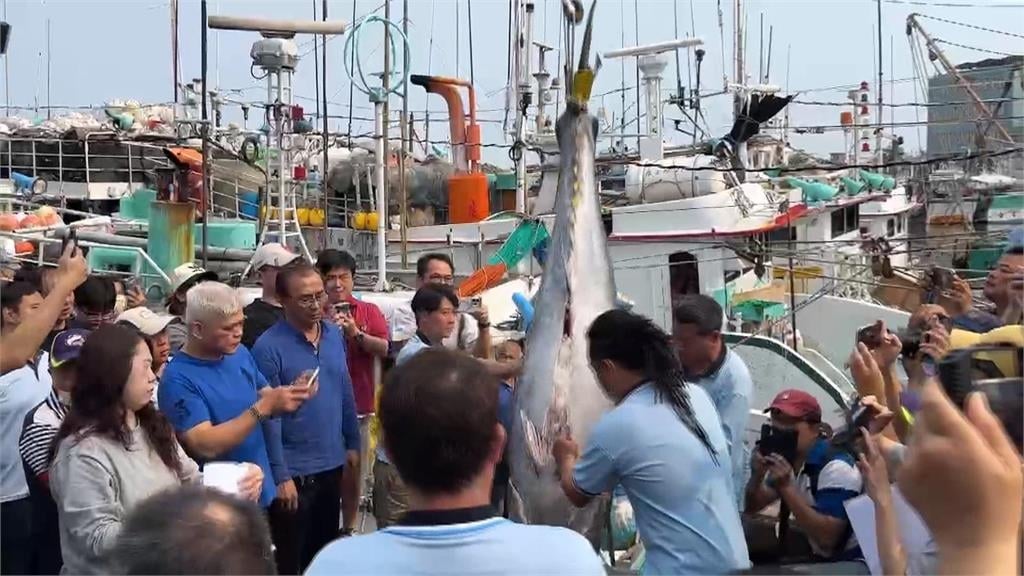 2026屏東第一鮪報到! 67歲船長"歪打正著"捕中黑鮪魚