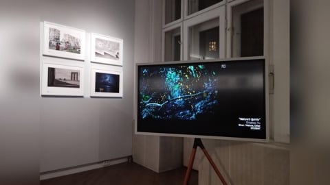 宜蘭之光游家豪勇奪法國PX3攝影大賽年度大獎 攝影實力驚豔世界