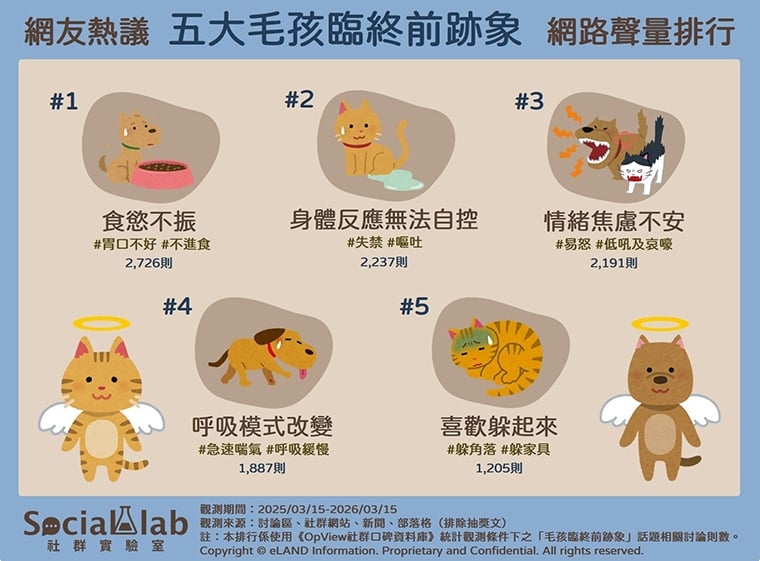 毛孩在和你告別嗎？ 網友熱議5大「毛孩臨終前跡象」