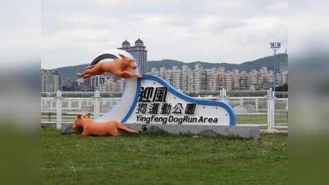 捐錢就能認養狗公園！北市動保處開綠燈　公益+曝光一次到位