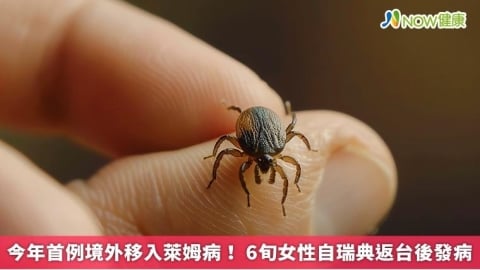 今年首例境外移入萊姆病！ 6旬女性自瑞典返台後發病