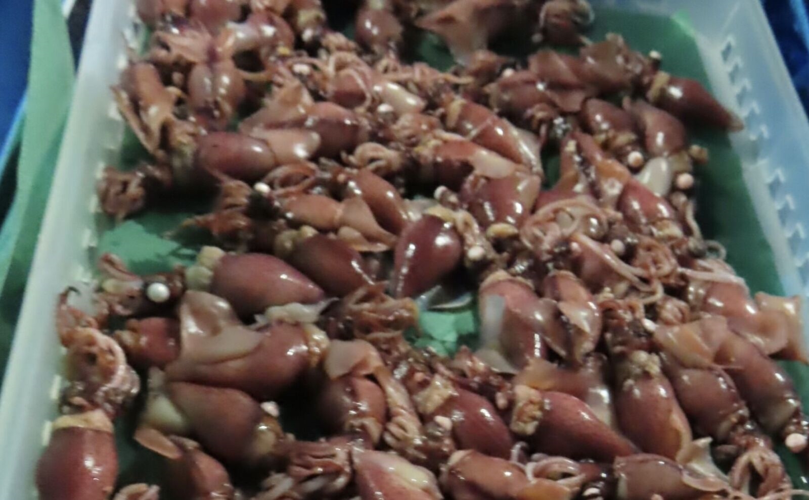 舔不得！人氣冰淇淋「ICC」出包 進口紙托檢出螢光增白劑 8