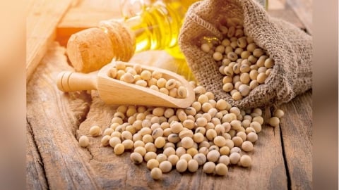 從糧食到能源 地緣政治重塑黃豆版圖