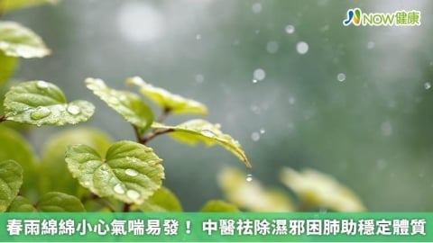 春雨綿綿小心氣喘易發！ 中醫祛除濕邪困肺助穩定體質