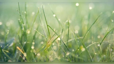 20日迎「穀雨」節氣！命理師揭5招防小人穩事業　4大禁忌別犯