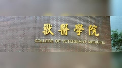 AI科系夯之外另一匹黑馬 獸醫系搭上毛孩商機