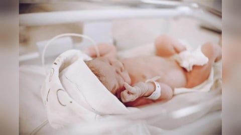 早產兒藥疑汙染「廠房檢出微生物」　食藥署發布回收警訊