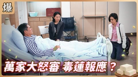 《豆腐媽媽-EP77精彩片段》萬家大怒審 毒蓮報應？