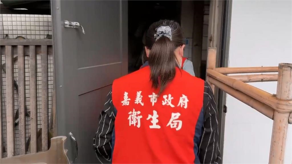 買小吃嚇「鼠」人！　新北滷味攤米奇亂竄、嘉義蜜糖地瓜被偷吃