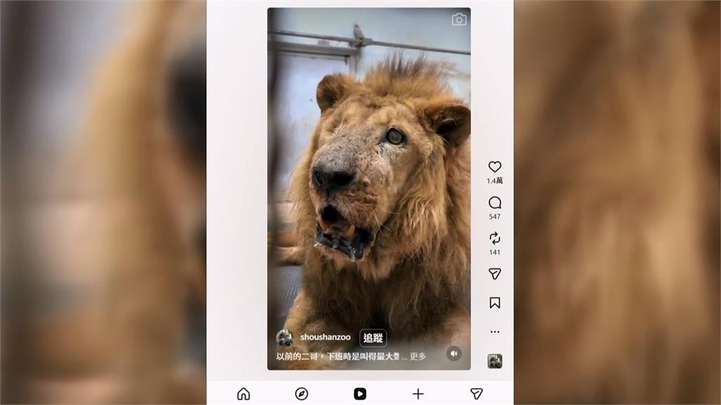 壽山動物園「二哥」被懷疑受虐！　台灣網友助澄清：已經是老爺爺