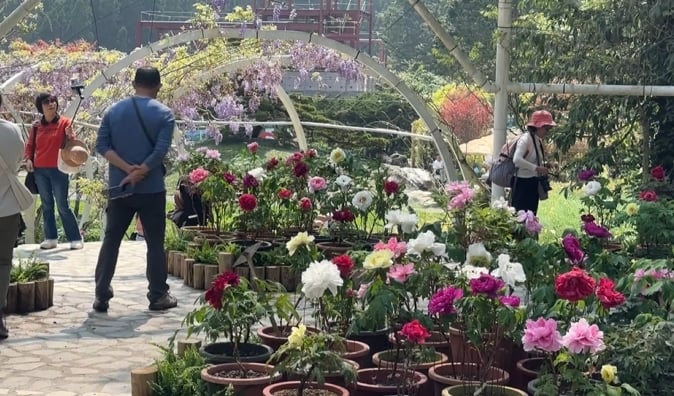 杉林溪遊園車墜谷案！　遊客狂掉兩萬人　園區祭門票減５０元優惠