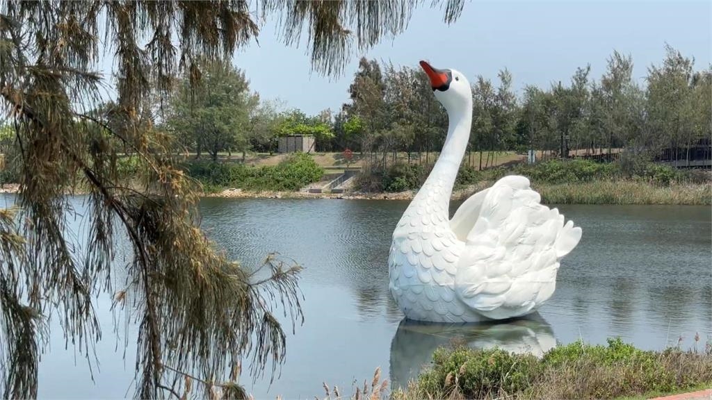 雲林天鵝湖嘉年華倒數　送百元鵝樂券、鵝料理免費吃