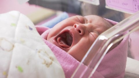 少子化危機！連27個月人口負成長 //年輕世代：月收沒10萬不敢生